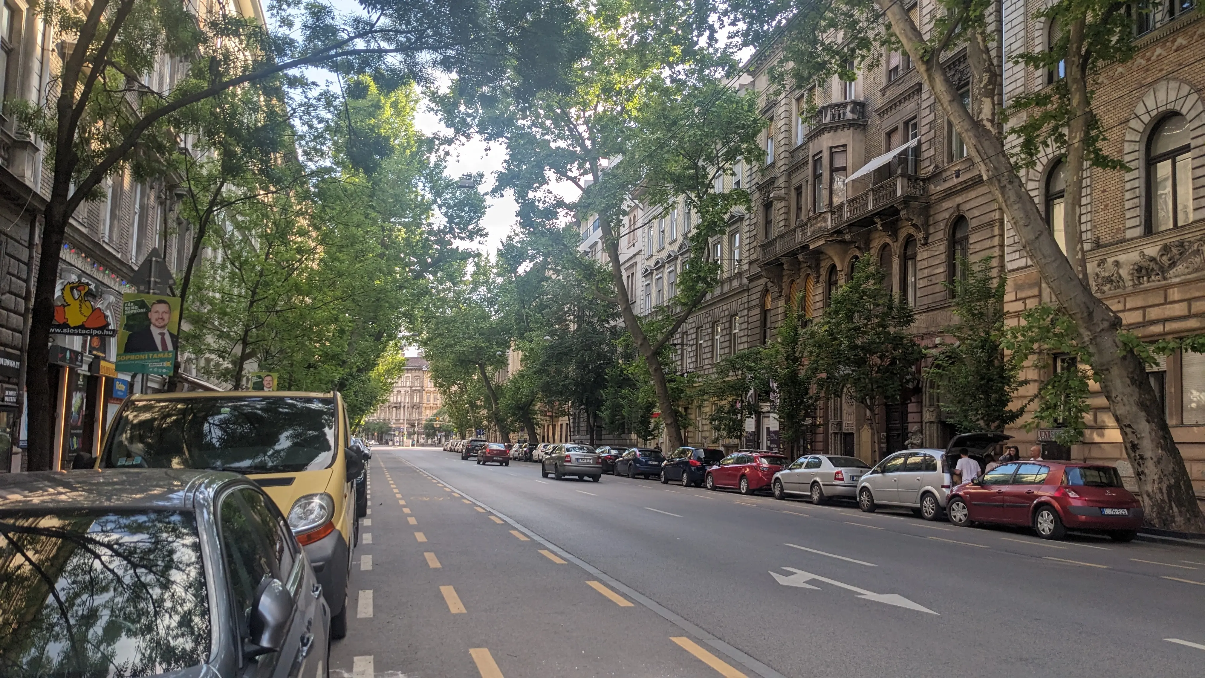 A road in Budapest, lined with trees and old buildings