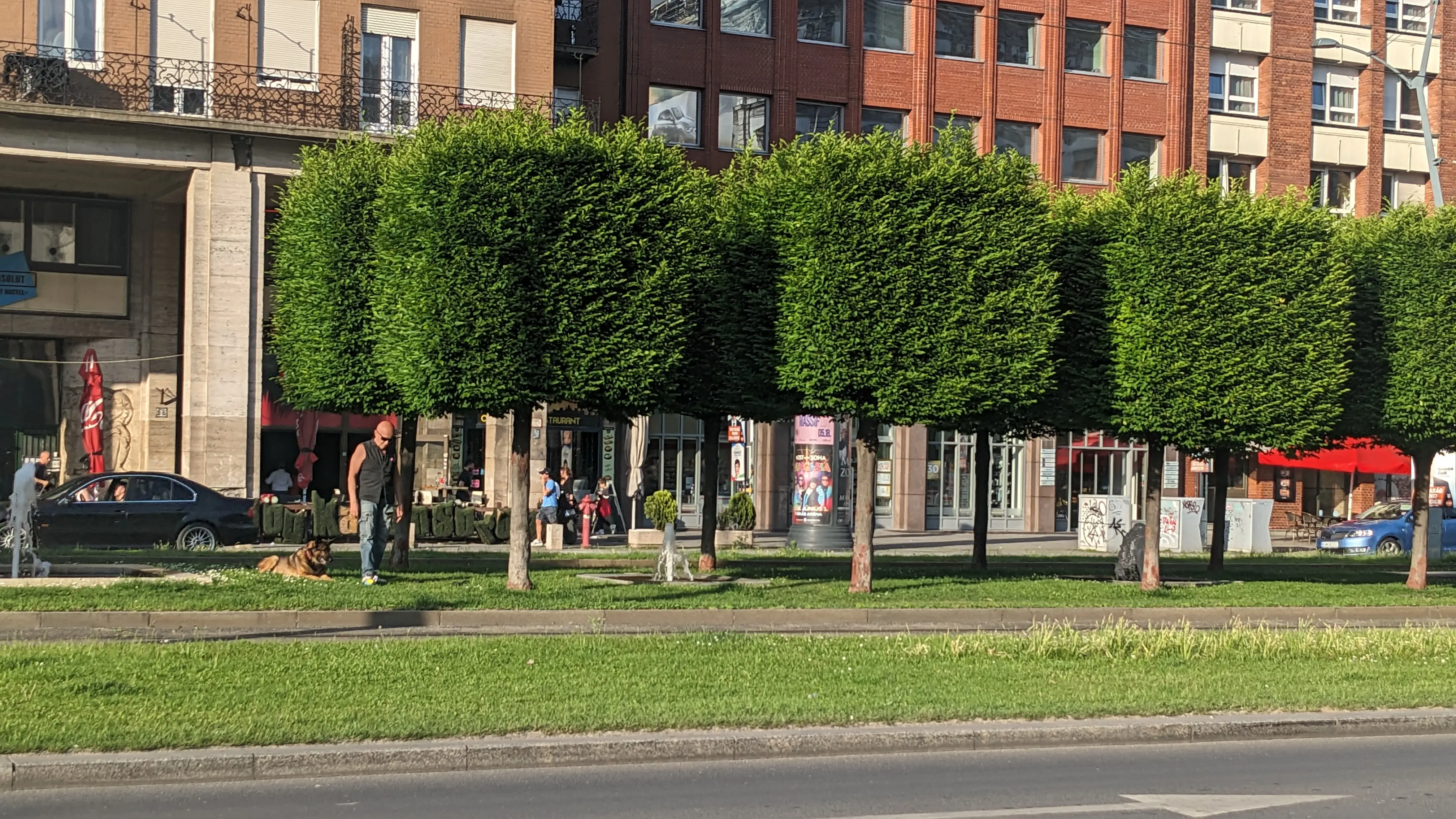 Square trees in a tiny park